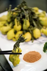 长白山山珍美味3