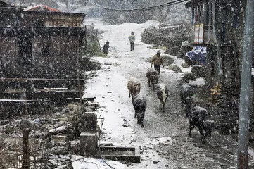 安纳普尔纳：一次不圆满的行走3