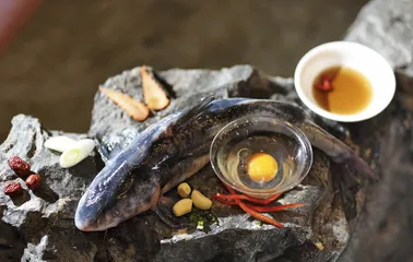 宜昌尝鲜之路
