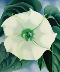 乔治亚·欧吉芙：一个出走的“孪生灵魂”2