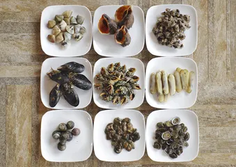 舟山群岛：海的味道8