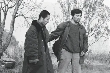 肖全的“花”14