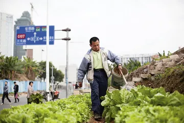 厚街故事：欲望与梦想4