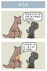 金元宝等