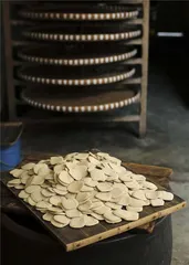 豆里寻味4