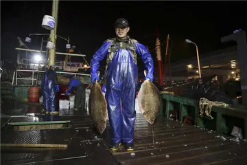 沿东海，一路向南3
