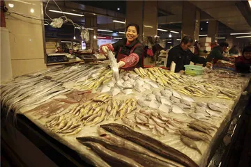 沿东海，一路向南5
