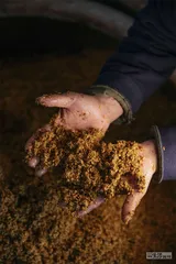 苏州甜食拾遗2