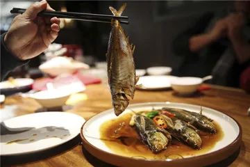 沿东海，一路向南17