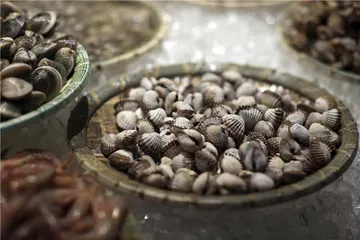 东海十味4