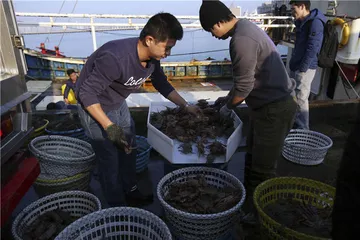 东海十味6