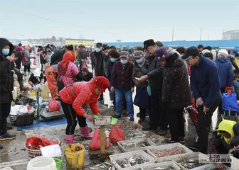 青岛，山海之间的小海鲜4