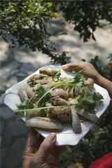 椰子树下食羊记5