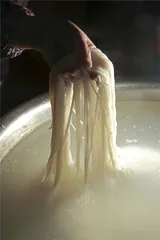 主食难忘：刻在胃里的思念6