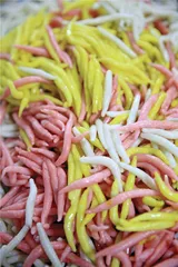 主食难忘：刻在胃里的思念7