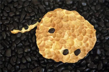主食难忘：刻在胃里的思念10