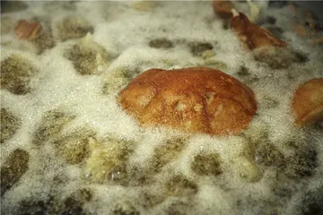 米粉里的记忆与乡愁7