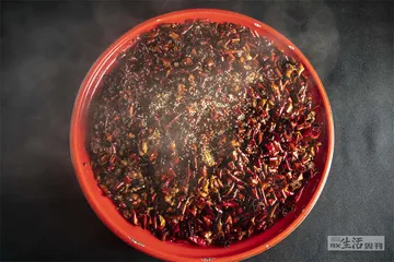 辣椒走向江湖1