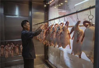 鹅行广东：乡土与烟火1