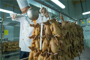 乳鸽的1+N种吃法