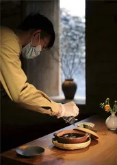 素的可能性5
