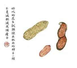 天府花生