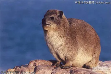 好消息·坏消息（724）2
