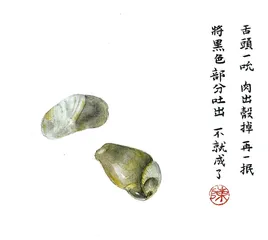 浙江泥螺1