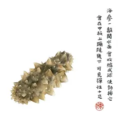 大连海参3