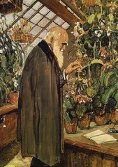 植物神经生物学的诞生1