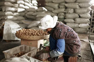 漾濞核桃