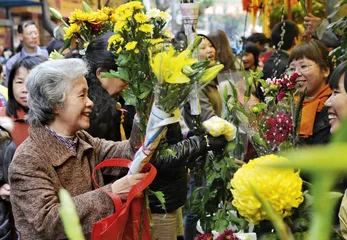 花城过年1