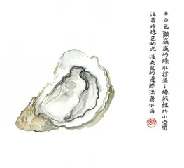汕尾蚝11