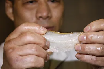白肉血肠1