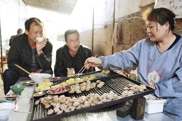 石屏豆腐3