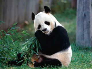 好消息·坏消息（774）3