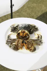 苏北醉蟹3