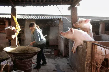 宣威火腿6