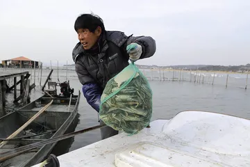 苏北醉蟹6
