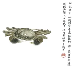 苏北醉蟹9