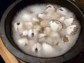 闽南血蚶3