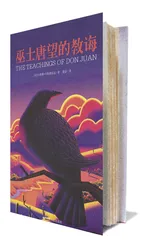 灵魂伴侣24