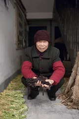 霉干菜