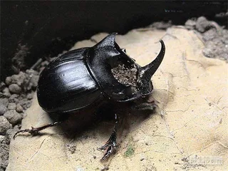 好消息·坏消息（723）1