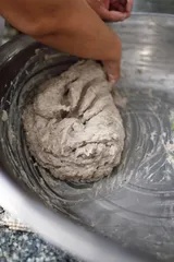 顺德鲮鱼5