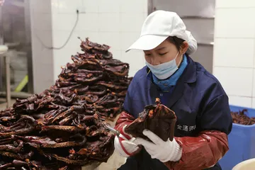 酱板鸭2