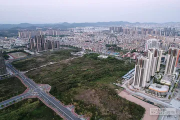 消失的女友：39个男人陷入的买房圈套