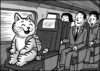 声音（1335）