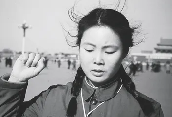第五章：靠边站，1976