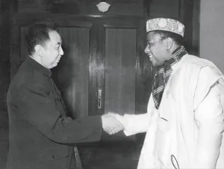 第五章：靠边站，19761